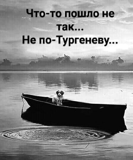 Что то пошло не так Не по Тургеневу