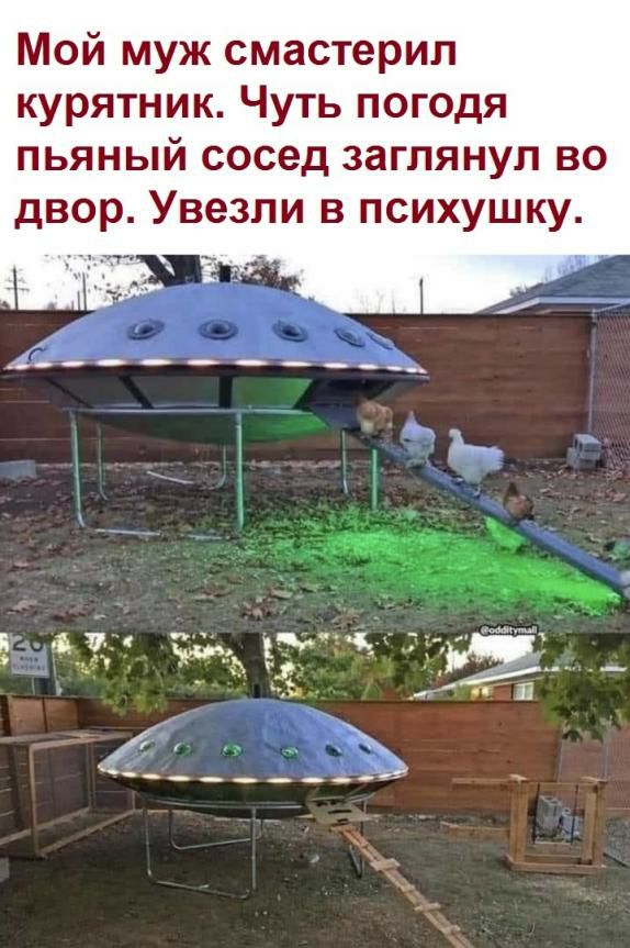 Мой муж смастерил курятник Чуть погодя пьяный сосед заглянул во двор Увезпи в психушку