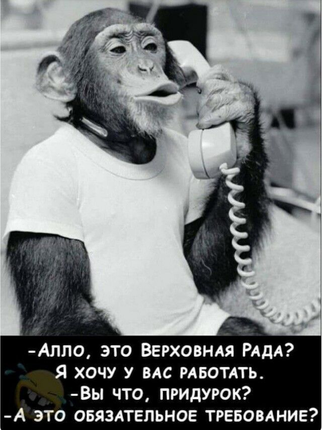 АЛЛО ЭТО ВЕРХОВНАЯ РАДА Я ХОЧУ У ВАС РАБОТАТЬ ВЫ ЧТО ПРИДУРОК А ЭТО ОБЯЗАТЕЛЬНОЕ ТРЕБОВАНИЕ