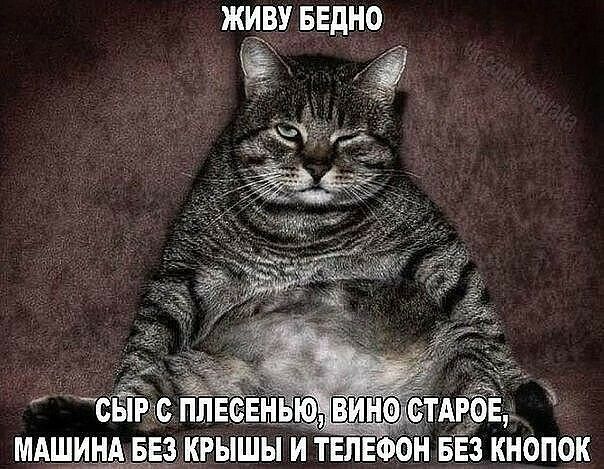 живу БЕдно