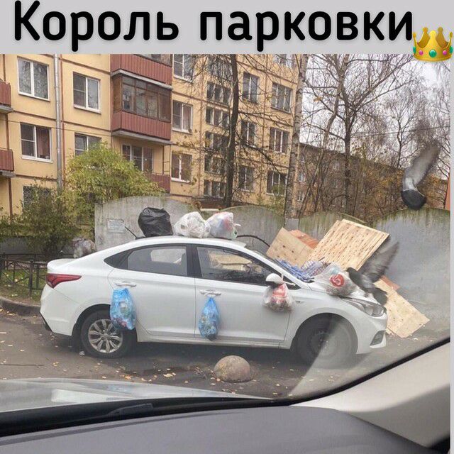 Король парковки