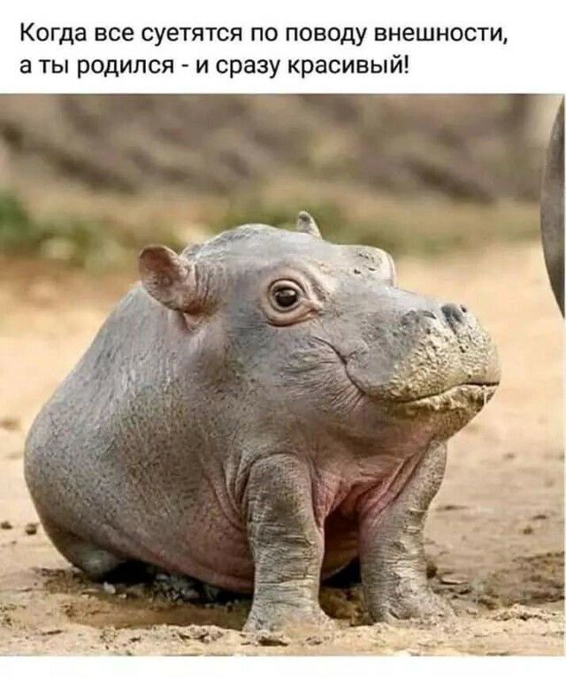 Когда все суетятся по поводу внешнос а ты родился и сразу красивый