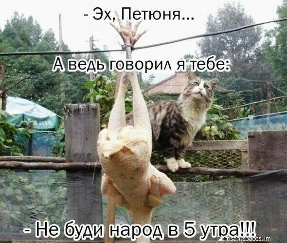 Эх Петюня Ацюёорид