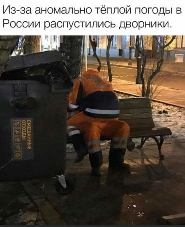 Изза аномально тёплой погоды в России распустились дворники ед к у _