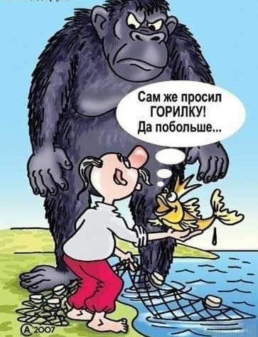 Сам же просил ГОРИПКУ да побольше