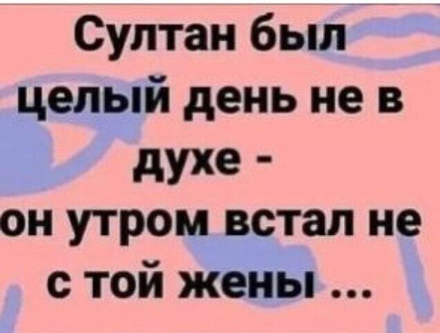 Султан быпй целый день не в духе он утром встал не с той жены