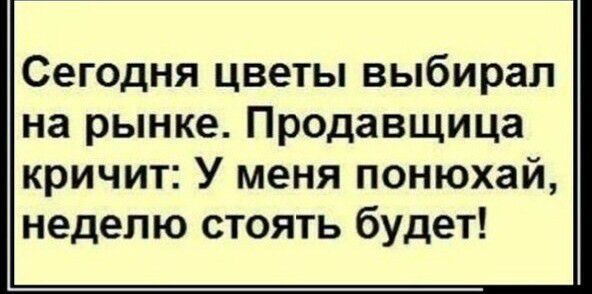 Сегодня цветы выбирал на рынке Продавщица кричит У меня понюхай неделю стоять будет