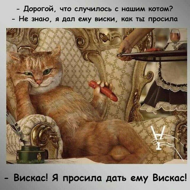 Дорогой что случилось с нашим котом Не знаю я дал ему виски как ты просила Вискас Я просила дать ему Вискас