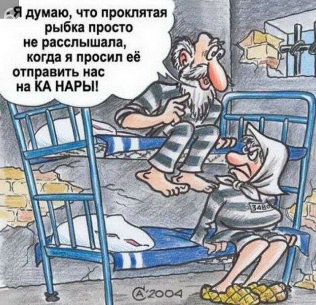 Н думаю что проклятая рыбка просто не расслышала когда я просил её отправить нас на КА НАРЬН