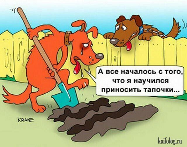 все началось С ТОГО ЧТО Я Научился ПРИНОСИТЬ ТЗПОЧКИ