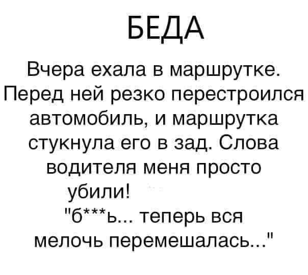 БЕДА Вчера ехала в маршрутке Перед ней резко перестроился автомобиль и маршрутка стукнула его в зад Слова водителя меня просто убили бь теперь вся мелочь перемещалась
