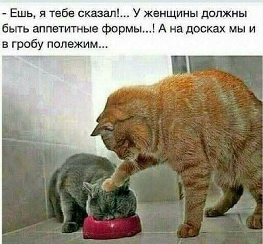 Ешь я тебе сказал У женщины должны быть аппетитные фирмы А на досках мы и в гробу полежим