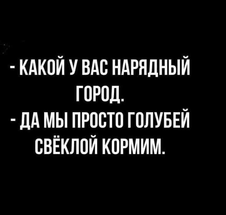КАКОЙ У ВАС НАРНДНЫЙ ГОРОД дд МЫ ПРОСТО ГОЛУБЕЙ ВВЁКЛОЙ КОРМИМ