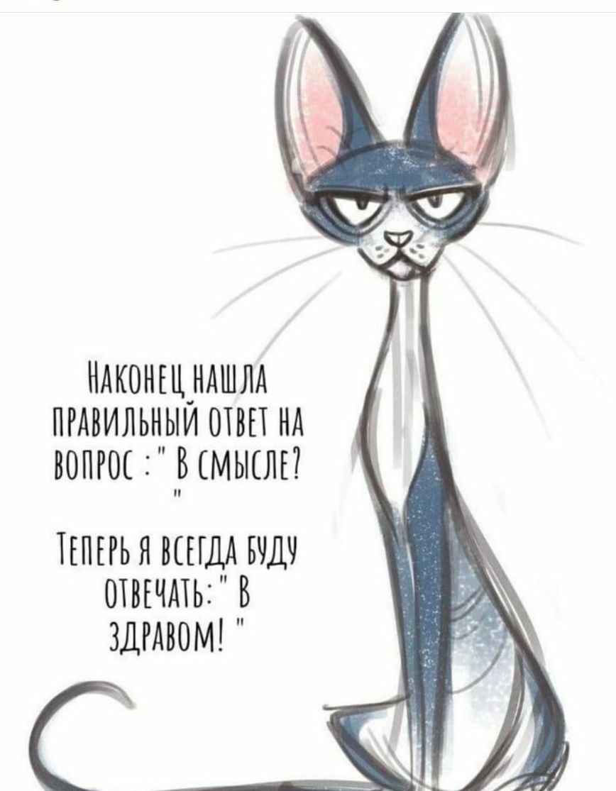 Ндконъцндшм пгдвильныи отвп нд вопгш мысли ТЕПЕРЬЯ ВСЕГДА БЧДЧ ОТВЕЧАТЬ В ЗДРАВОМ С