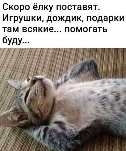 Скоро ёлку поставят Игрушки дождик подарки там всякие помогать