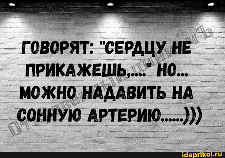 Ё ГОВОРЯТ СЕРАЦУ НЁ ПРИКАЖЕШЬ Н0 МОЖНО НАДАВИТЬ НА СОННУЮ АРТЕРИЮ