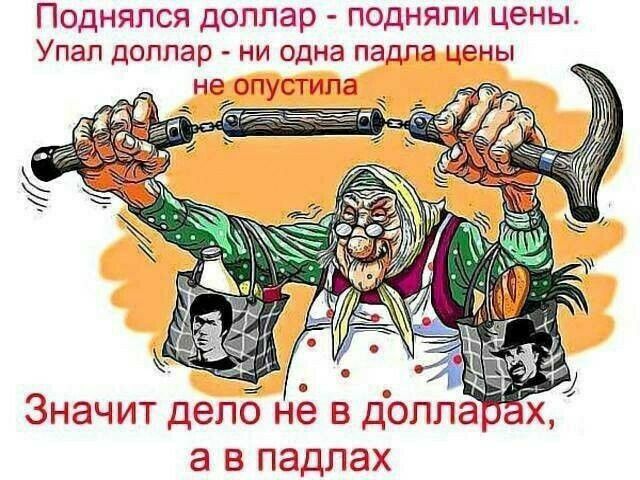 Поднялся Доллар подняли цены Упал доллар ни одна падпа цены а в падлах