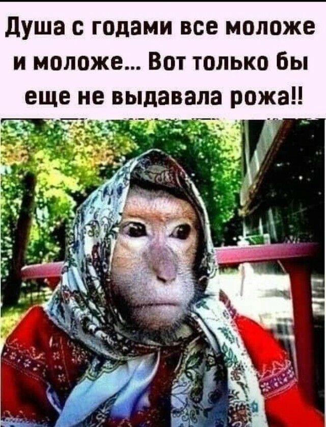 душа с годами все моложе и моложе Вот только бы еще не выдавала рожа д