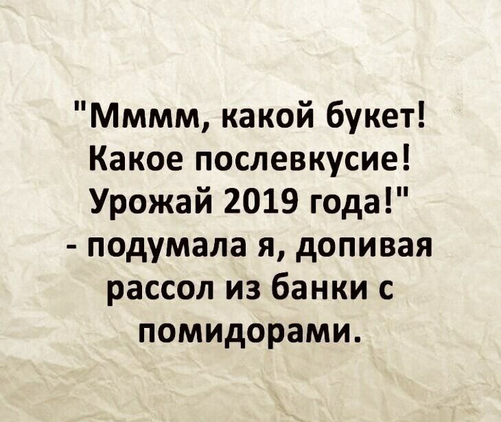 Мммм какой букет Какое послевкусие Урожай 2019 года подумала я допивая рассол из банки с помидорами