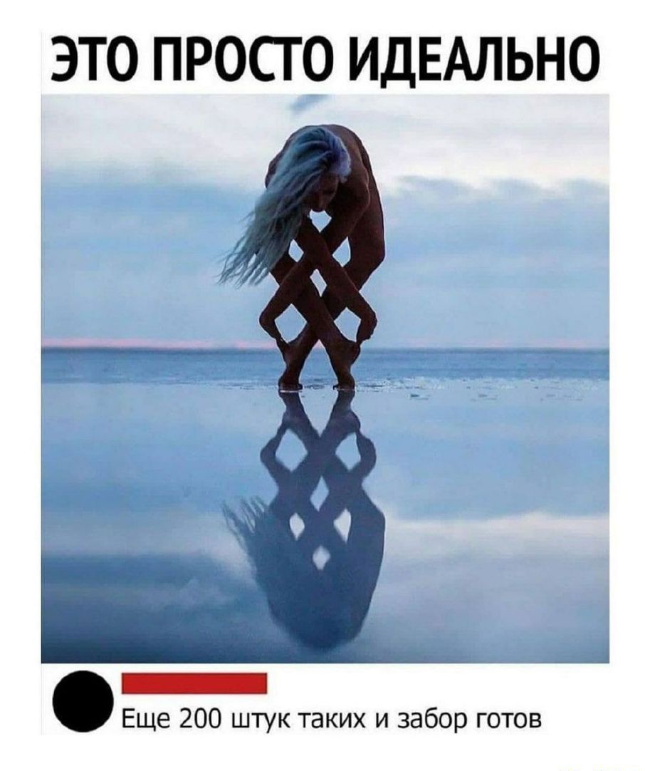 ЭТО ПРОСТО ИДЕАЛЬНО Еще 200 штук таких и забор готов