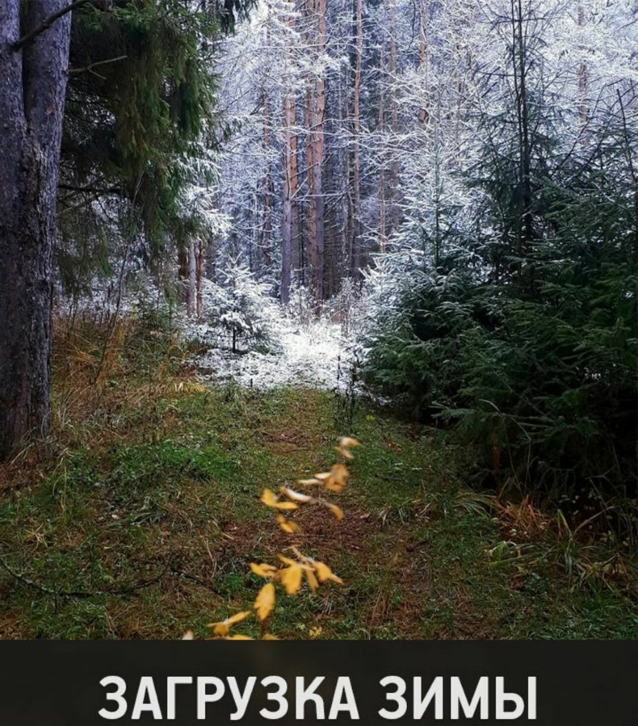 ЗАГРУЗКА ЗИМЫ
