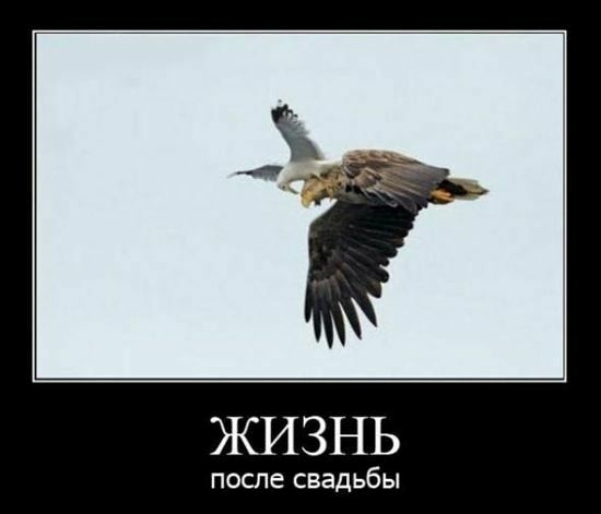 ЖИЗНЬ после свадьбы