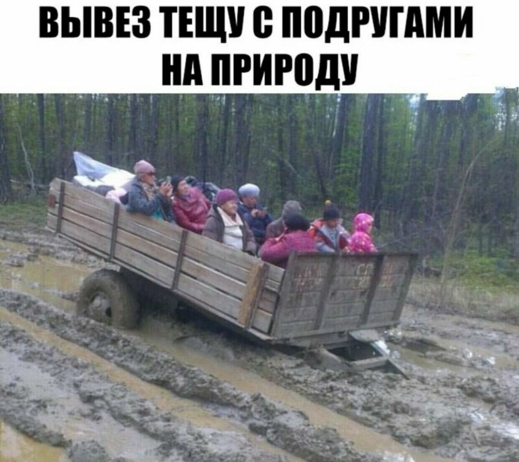 вывез ищи подгшми нд пдгиюи