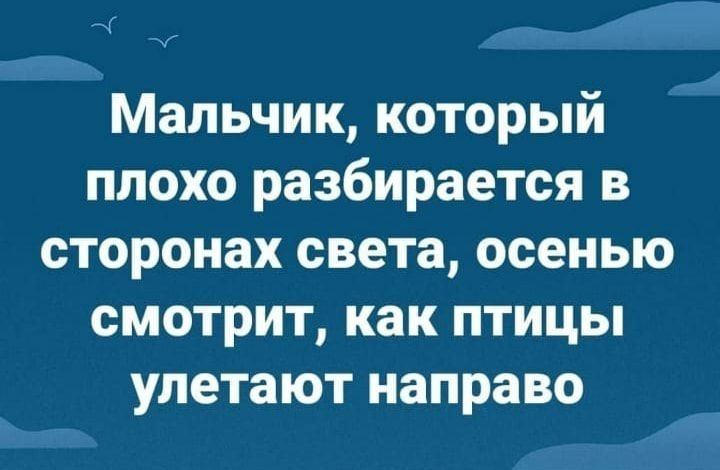 ЧГ Мальчик который плохо разбирается в сторонах света осенью смотрит как птицы улетают направо