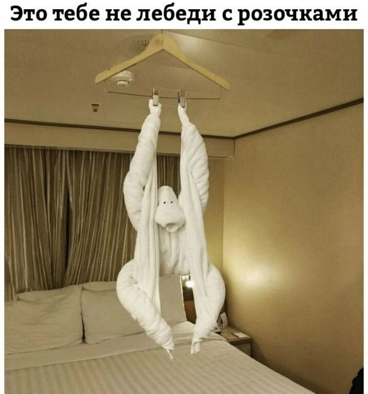 Это тебе не лебеди с розочками
