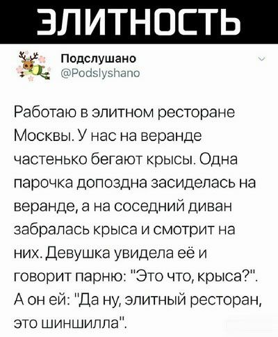ЗЛИ НОЕТЬ ёё Работаю в элитном ресторане Москвы У нас на веранде частенько бегают крысы Одна парочка допоздна засидепась на веранде а на соседний диван забралась крыса и смотрит на них Девушка увидела её И говорит парню Это что крыса А он ей Да ну элитный ресторан это шиншиппа