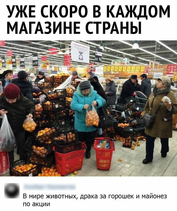 УЖЕ СКОРО В КАЖДОМ МАГАЗИНЕ СТРАНЫ О В мире животных драка за горошек и майонез по акции