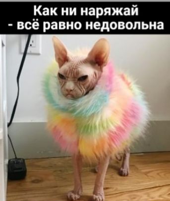 Как ни наряжай всё равно недовольна