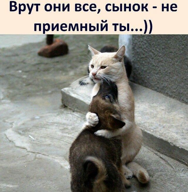 Врут они все сынок не приемный ты