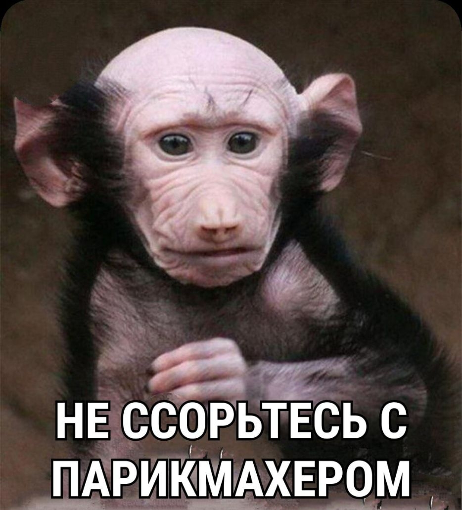 1 _ і у_ НЕССОРБТЕСЬ с ПЁРИЙМАХЕЕЧМ