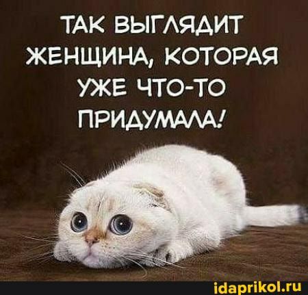 ТАК ВЫГАЯАИТ ЖЕНЩИНА КОТОРАЯ УЖЕ ЧТО ТО ПРИАУМААА
