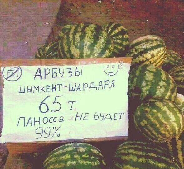 АРЬЭЬ ШЫМКЕНТША Рд 65 Т ПАНосса НЕ БЭЪДУЁТ ЧЬ