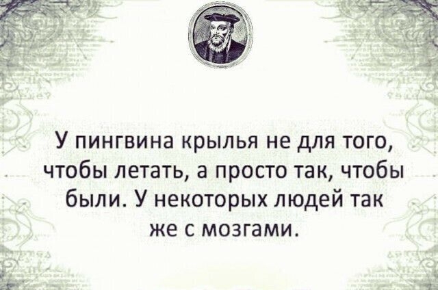 У пингвина крылья не для того чтобы летать а просто так чтобы были У некоторых людей так же с мозгами