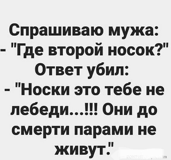 Спрашиваю мужа Где второй носок Ответ убил Носки это тебе не лебеди Они до смерти парами не живут