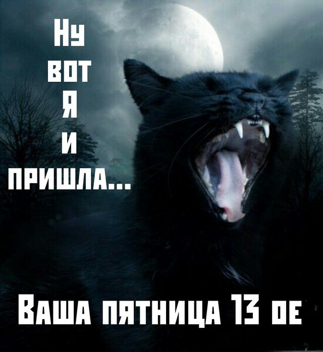ПРИШЛИ Виши пятницп 13 п