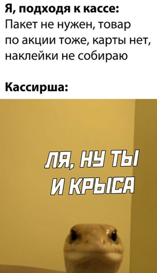 Я подходя к кассе Пакет не нужен товар по акции тоже карты нет наклейки не собираю Кассирша