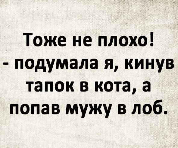 Тоже не плохо падумала я кинув тапок в кота а попав мужу в лоб