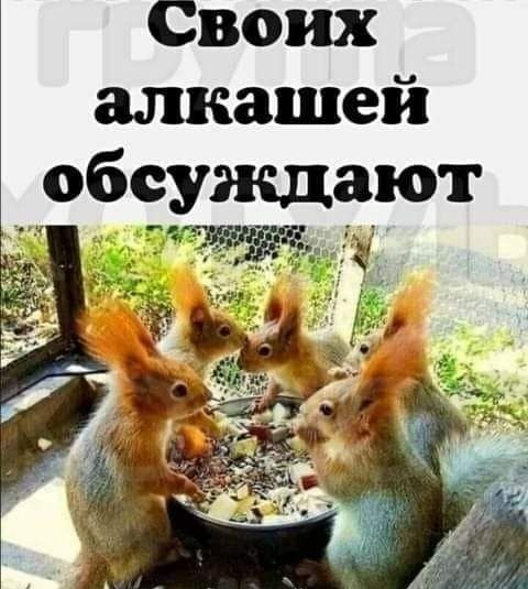 Своих алкашей обсуждают