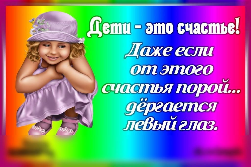 41 цд