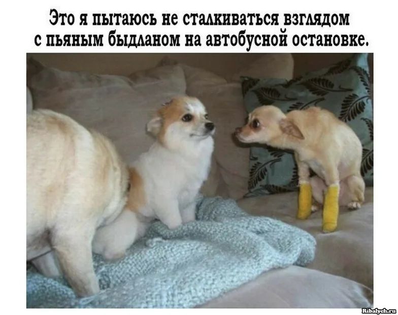 ЭТО Я пытаюсь не СТМКЕВЗТЪСЖЮГАЯДОМ С пьяным бЫДМПОМ на автобуснои остановка