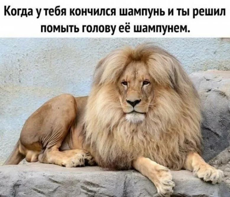 Когда утебя кончился шампунь и ты решил помыть голову её шампунем
