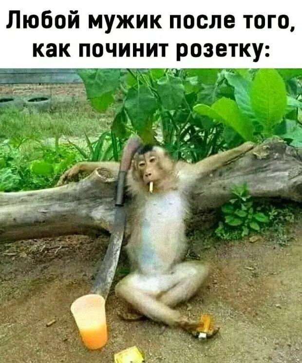 Любой мужик после того как ПОЧИНИТ розетку А