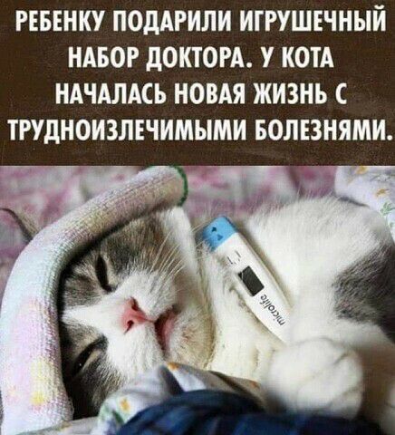 РЕБЕНКУ ПОДАРИЛИ ИГРУШЕЧНЫЙ НАБОР ДОКТОРА У КОТА НАЧАЛАСЬ НОВАЯ ЖИЗНЬ С ТРУДНОИЗЛЕЧИМЫМИ БОЛЕЗНЯМИ _