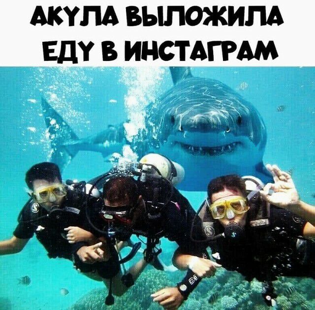 Атм выложим Еду инстьгмм