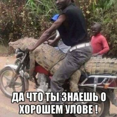 дд что ТЬЩЗНАЕШБЮ ЮРВШЕМ УЛЦВЕіЬ