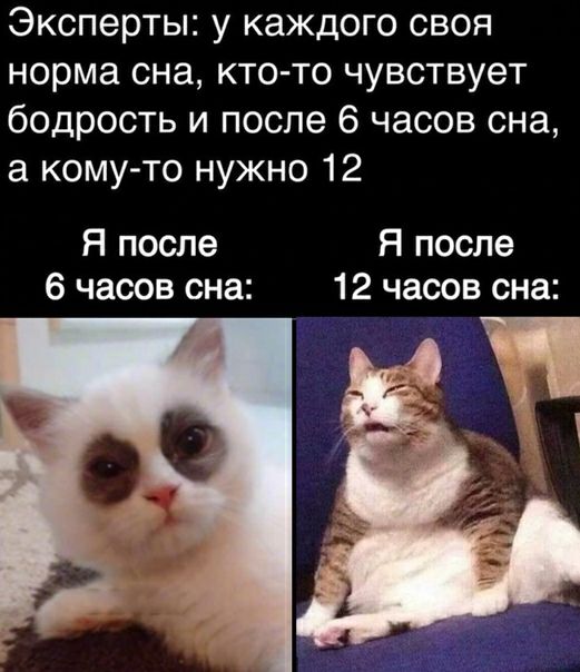 Эксперты у каждого своя норма сна кто то чувствует бодрость и после 6 часов сна а кому то нужно 12 Я после Я после 6 часов сна 12 часов сна